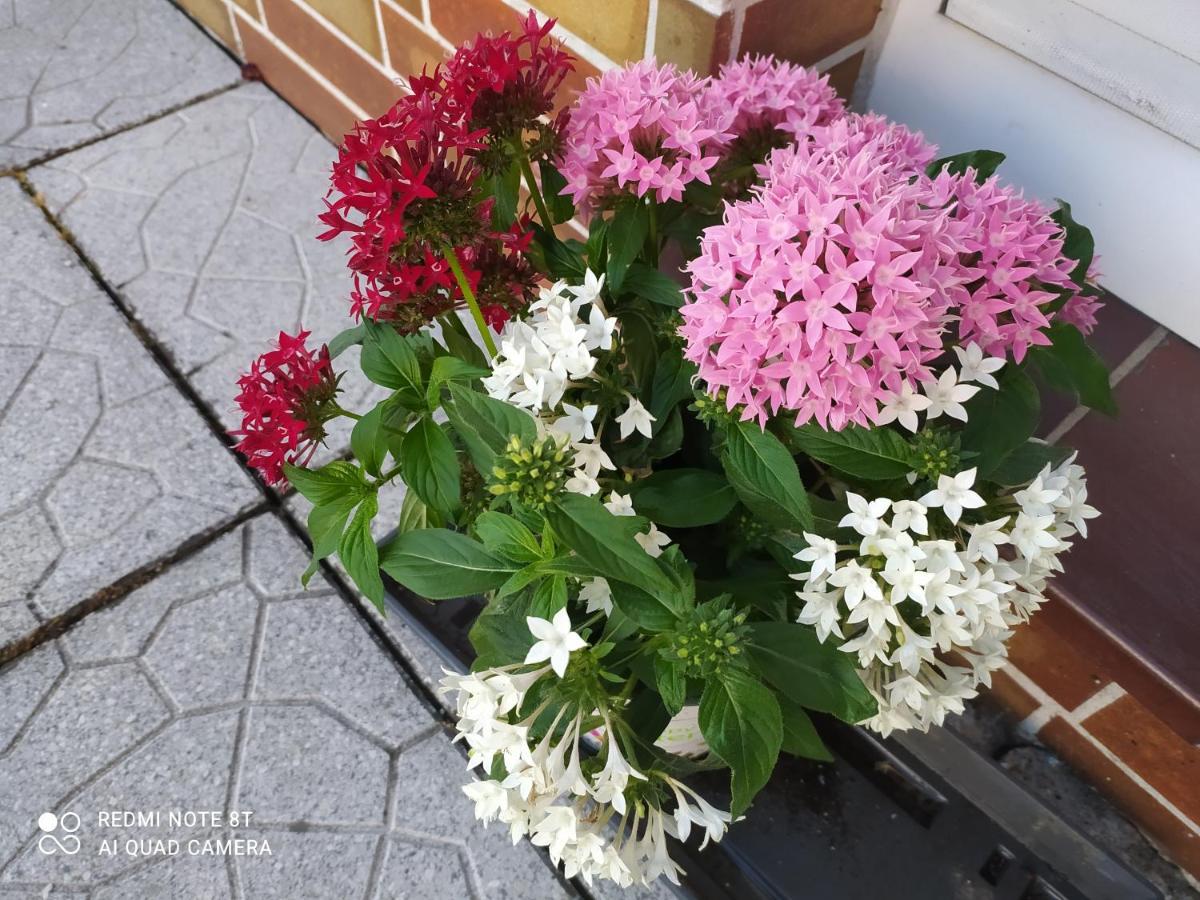 Ferienwohnung Espenau Esterno foto